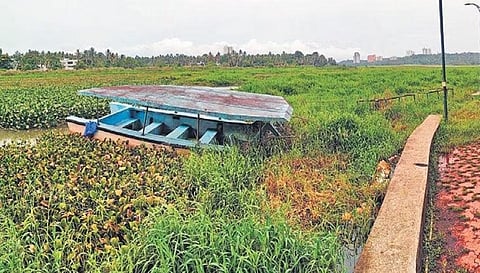 Akkulam lake, which used to be one of the popular tourist attractions in the capital, is facing neglect. The polluted lake is filled with water hyacinth and filth | File Pic