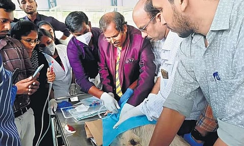 Dr M Chandrasekhar leads the trial on continuous renal replacement therapy hemodialysis for the selected 15 veterinarians across the state, at the multi-specialty veterinary hospital at Kudappanakunnu