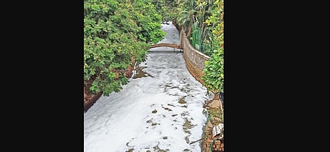 Image used for representational purpose only. (Photo | RVK Rao, EPS)