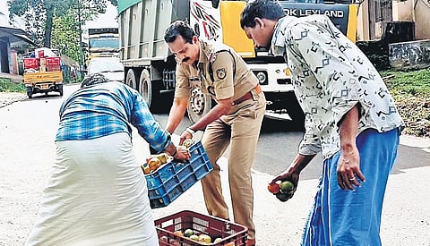 Malayalapuzha sub-inspector Salim T M collecting fruits from Kumbazha-Konni Road | SHAJI VETTIPURAM