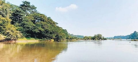 Nirvana on the banks of Periyar 