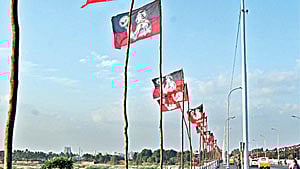 AIADMK flag. Representational image 