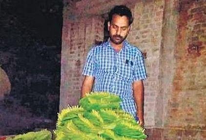 A betel leaf farmer with his produce 