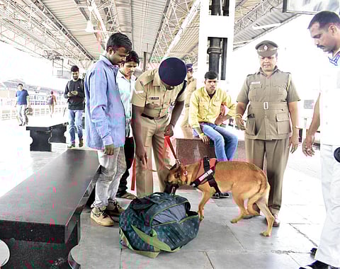 Railway Protection Force conducts searches with the help of a sniffer dog at Coimbatore Railway Junction, in the wake of Mangaluru autorickshaw blast, on Monday. (Photo | EPS, S Senbagapandiyan)