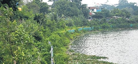 Corporation on a mission to boost green cover in the city| Ashwin prasath