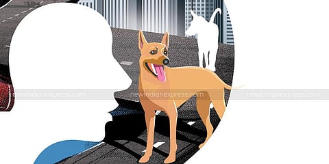 Image for representational purpose. (Express Illustration)