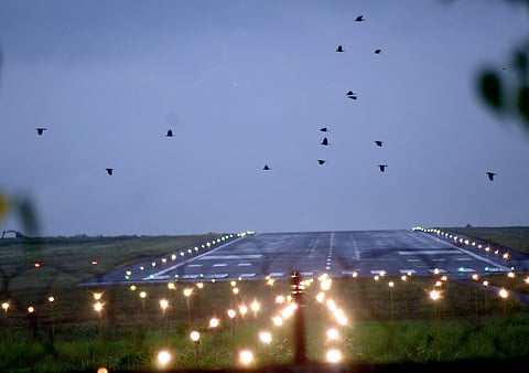 Biju Patnaik International Airport.  (File photo | Biswanath Swain, EPS)