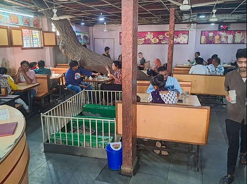 People eat at a vegetarian restaurant 'Lucky Tea Stall' built on a graveyard, in Ahmedabad. (Photo | PTI)
