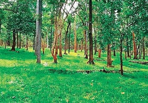 Why does podu land issue continue to simmer?