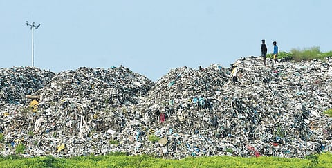 A view of the Perungudi dumpyard in Chennai on Thursday | Ashwin Prasath