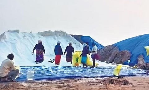 Salt trading at Voollapalem village in Singarayakonda mandal | express