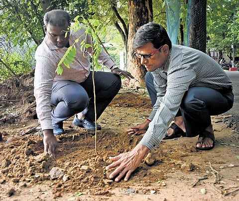 Veerraghavan, a partially blind social activist and environmentalist. (Photo | Ashwin Prasath, EPS)