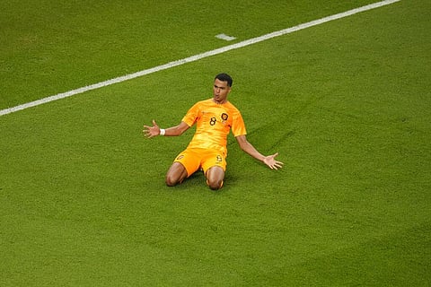 Cody Gakpo of the Netherlands celebrates after scoring his side's first goal during the World Cup group A match against Senegal. (Photo | AP)