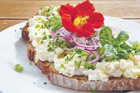 Image used for rtepresentational purpose