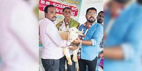 Farmer Boregowda with the sheep sold at 2.01 lakh | Vinod Kumar T