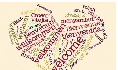 Bot did you just say in pidgin