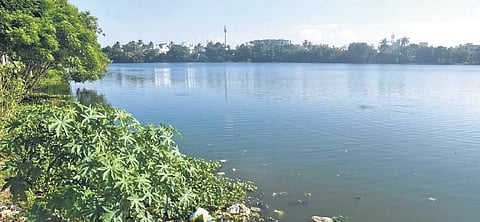 Encroachments reduced Velachery lake’s water spread area from 300 to 50 acres | Martin Louis