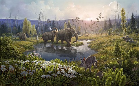 This illustration provided by researchers depicts Kap Kobenhavn, Greenland, two million years ago, when the temperature was significantly warmer than northernmost Greenland today. (Photo | AP)