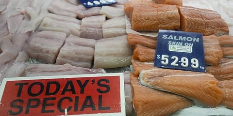 Australian bilateral free trade agreements with India and Britain entered the Senate on Tuesday. (Photo | AP)