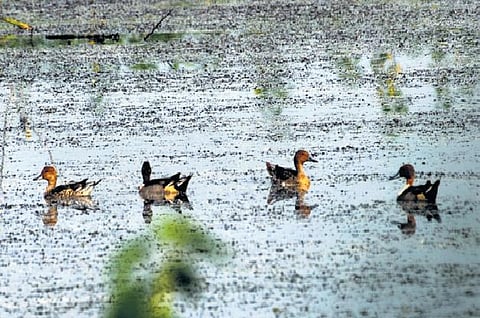 Image used for illustrative purposes only