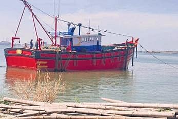 Mangaluru fish to get back wings to fly