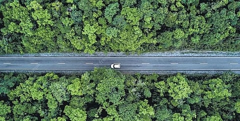 For reprentational purpose