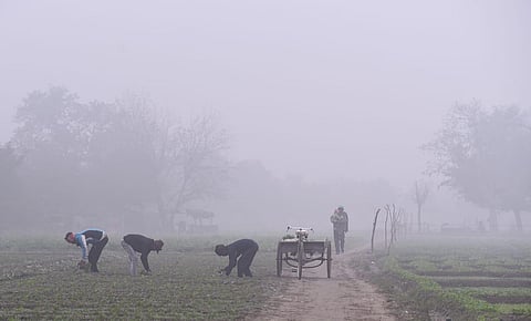 Dense fog covers Delhi on Tuesday morning . (Photo | Parveen Negi, EPS)