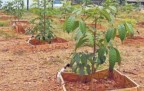 Image used for representational purpose only.