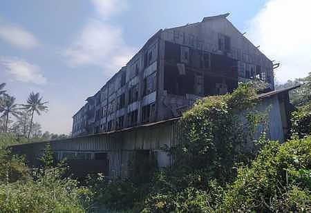 Abandoned by owner, Peermade tea workers show pluck