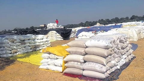 Image of paddy sacks used for representational purposes only.