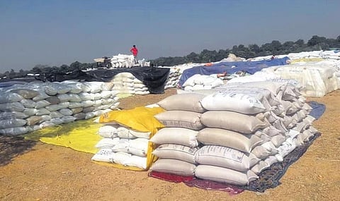 Bags of paddy lying in the open at a mandi in Padampur sub-division I Express