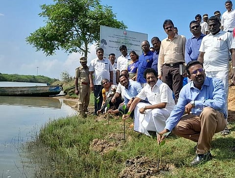 Collector Dinesh Ponraj Oliver (right) and MLA N Ashokkumar of Peravurani (second from right) planting the saplings at Manora in Thanjavur | Express