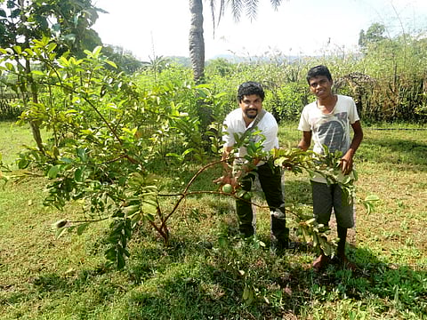 (Photo | Special Arrangement)