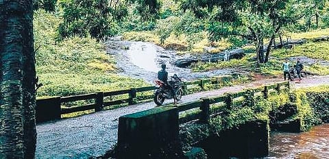 Mamalakandam|petrohead