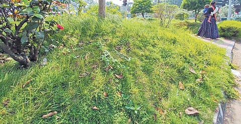 Image used for representational purposes only