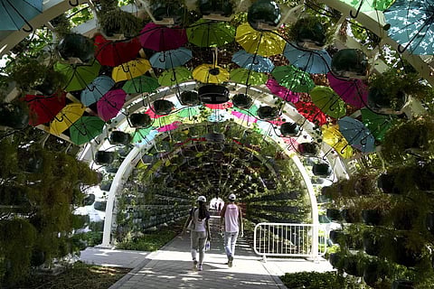 Two weeks into the first World Cup in the Middle East, fewer teams are at the tournament and some fans are starting to make long journeys home. But there is still plenty to see and do in Qatar for those who remain. IN PIC: A couple walks through a tunnel-like art installation at Doha Corniche in Doha, Qatar. (Photo | AP)