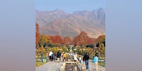 Kashmir in autumn | Zahoor Punjabi