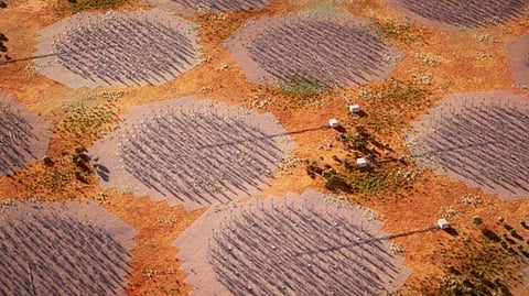 The image shows an artist's impression of low-frequency stations forming the Square Kilometre Array (SKA) radio telescope, to be built in Western Australia | AFP