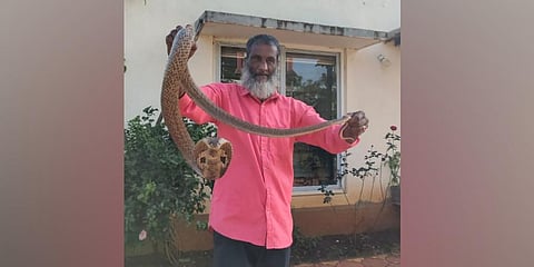 Local snake rescuer Abdul Gaffar