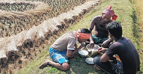 Farmers having their meals near a paddy field in Kendrapara | Express