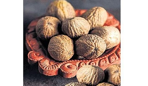 Nuts about nutmeg