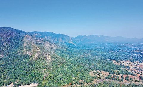 Gandhamardan hill