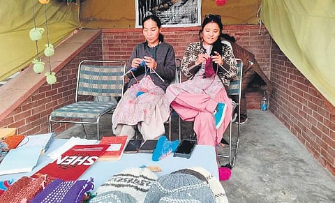 Women knitting in the Shen stall;