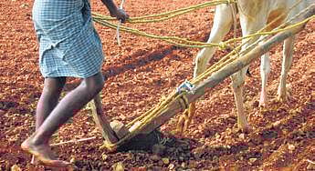 Representational Image (File photo | Express)