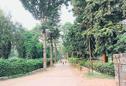 'Jal Shakti Park' at Delhi's historic Roshanara Bagh. (Photo| EPS)