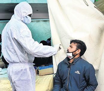 Representational image of a healthcare worker collecting a nasal swab for Covid testing. (Photo | Parveen Negi, EPS)