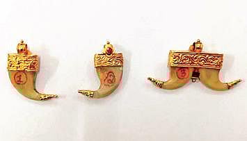 Tiger claws turned into ornaments recovered in Mysuru | Express