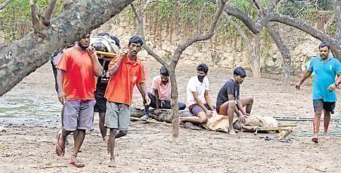 Mugger crocodiles being prepared to be sent to Gujarat | Express