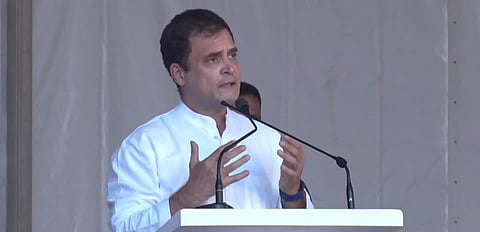 Congress leader Rahul Gandhi (Photo| Twitter screengrab)