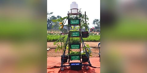 More vertical gardens for a self-reliant Kerala